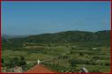 DSC00514