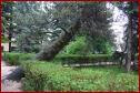 DSC00511