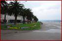 DSC00557