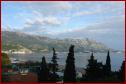 DSC00736