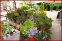DSC00957