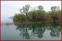 DSC00695