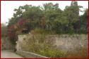 DSC00014