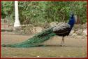 DSC00200