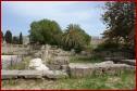 DSC00484