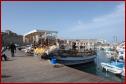DSC00503